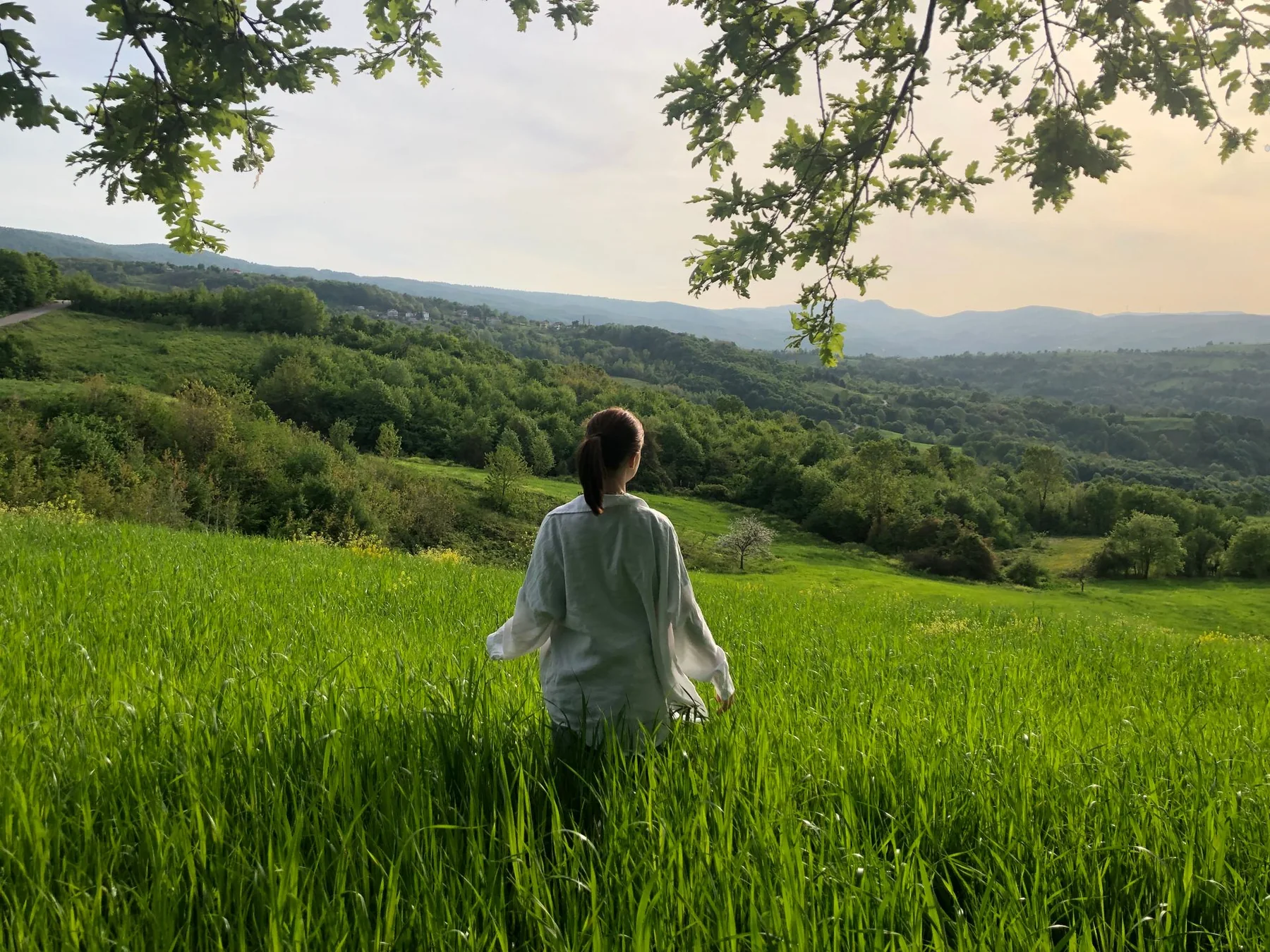 Persona observando un paisaje verde desde un prado