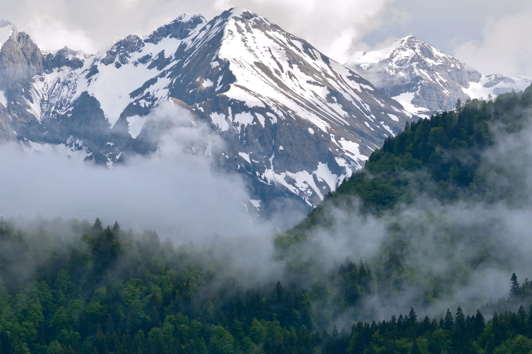 Montañas nevadas rodeadas de nubes y bosque